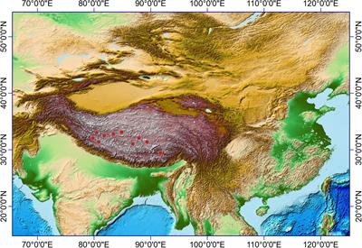 Phytolith Production and Morphotypes in Modern Plants on the Tibetan Plateau